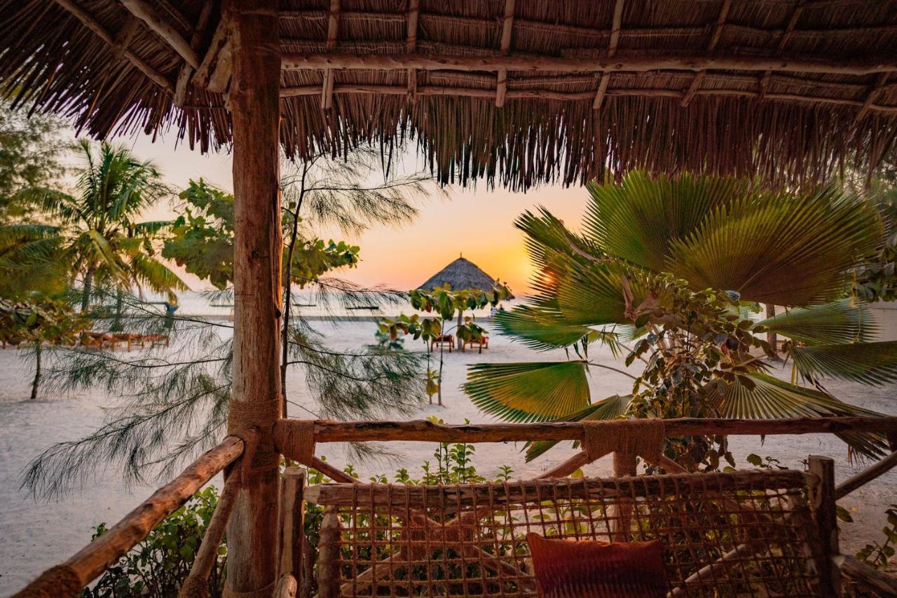 Joy Of Zanzibar Hotell Michamvi Exteriör bild