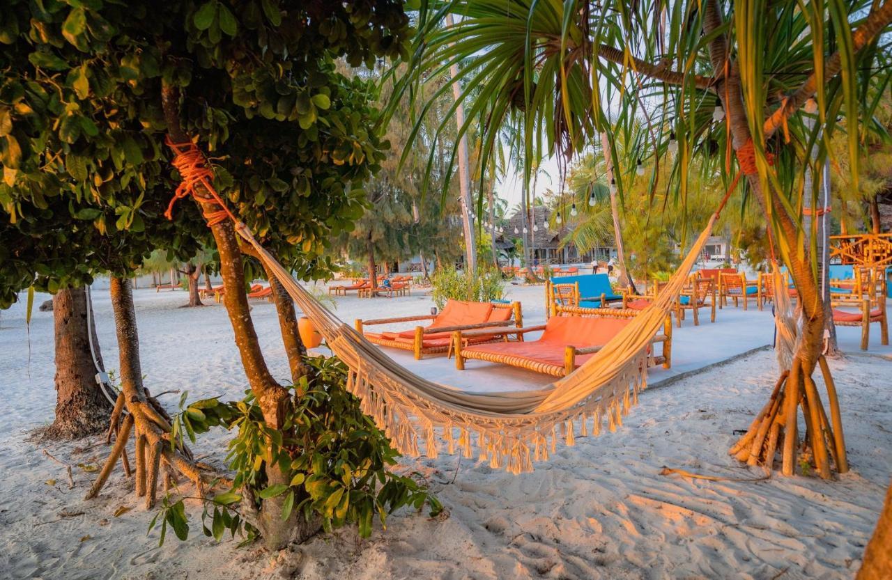 Joy Of Zanzibar Hotell Michamvi Exteriör bild