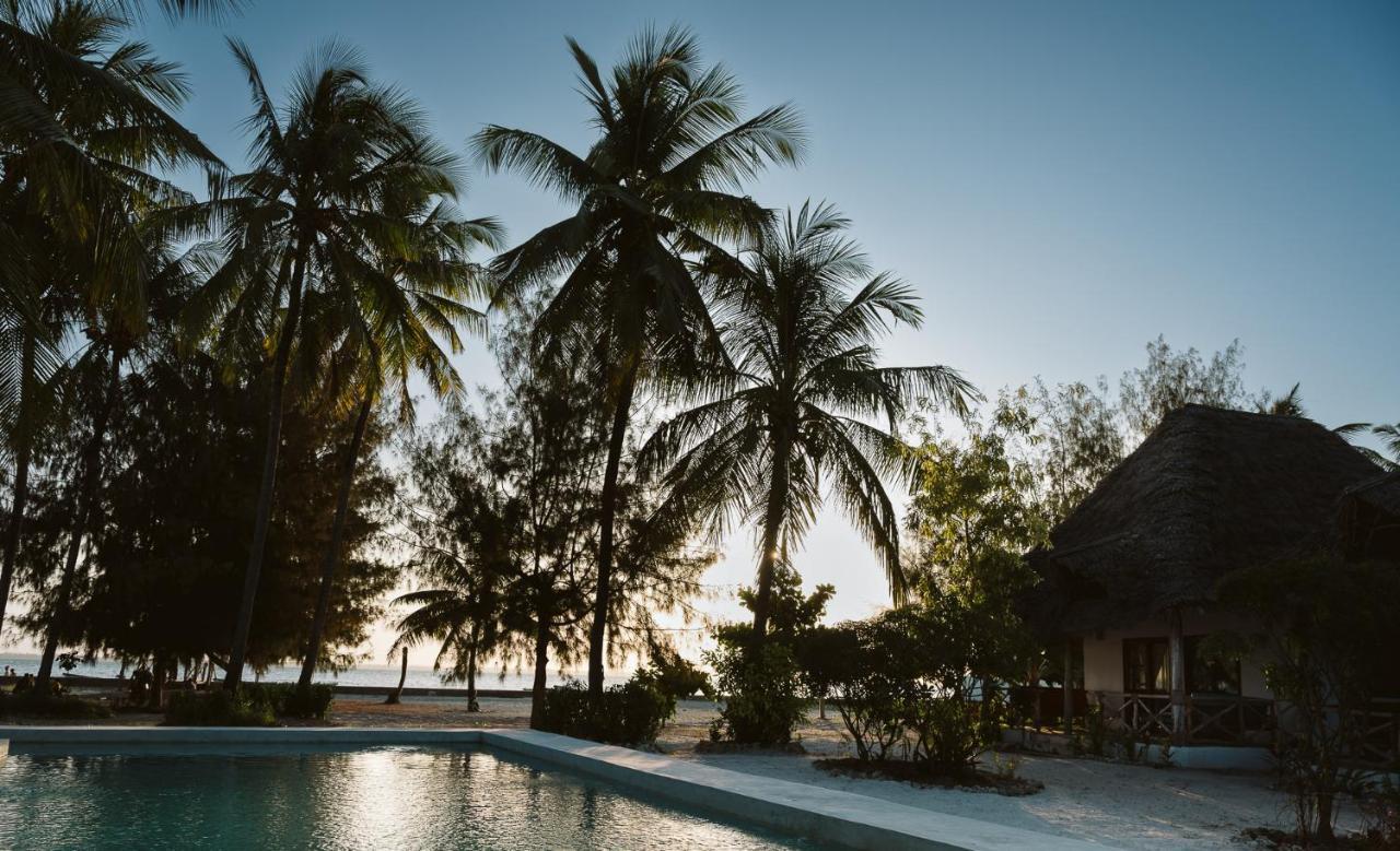 Joy Of Zanzibar Hotell Michamvi Exteriör bild